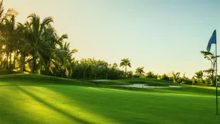 aa